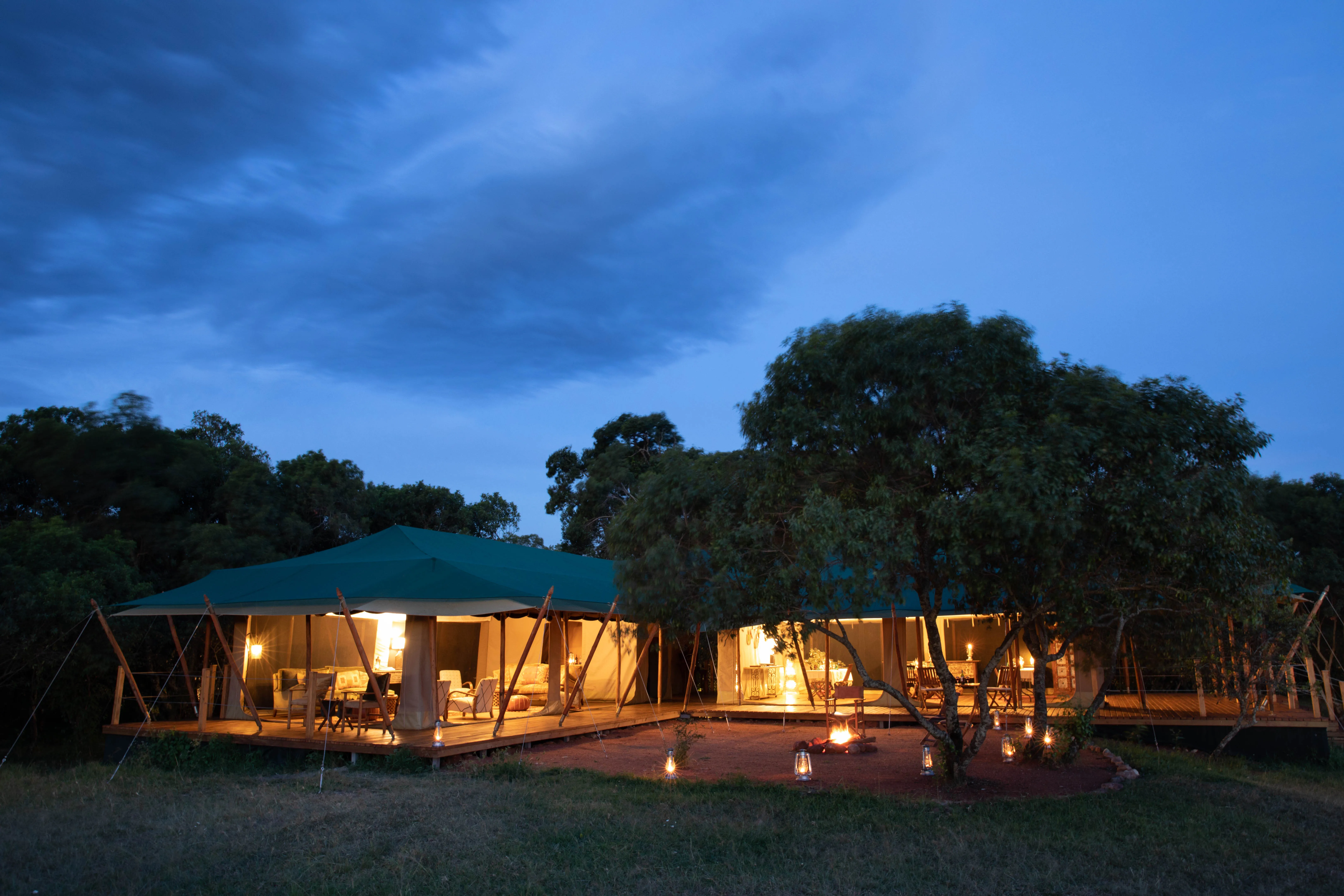 Uganda Gorilla & Chimpanzee Safari — photo 4