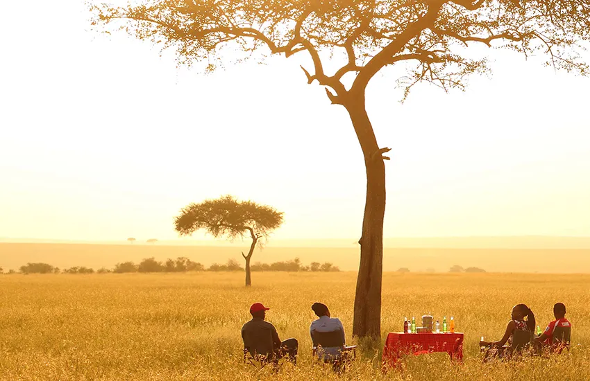 Sundowner drinks served on safari
