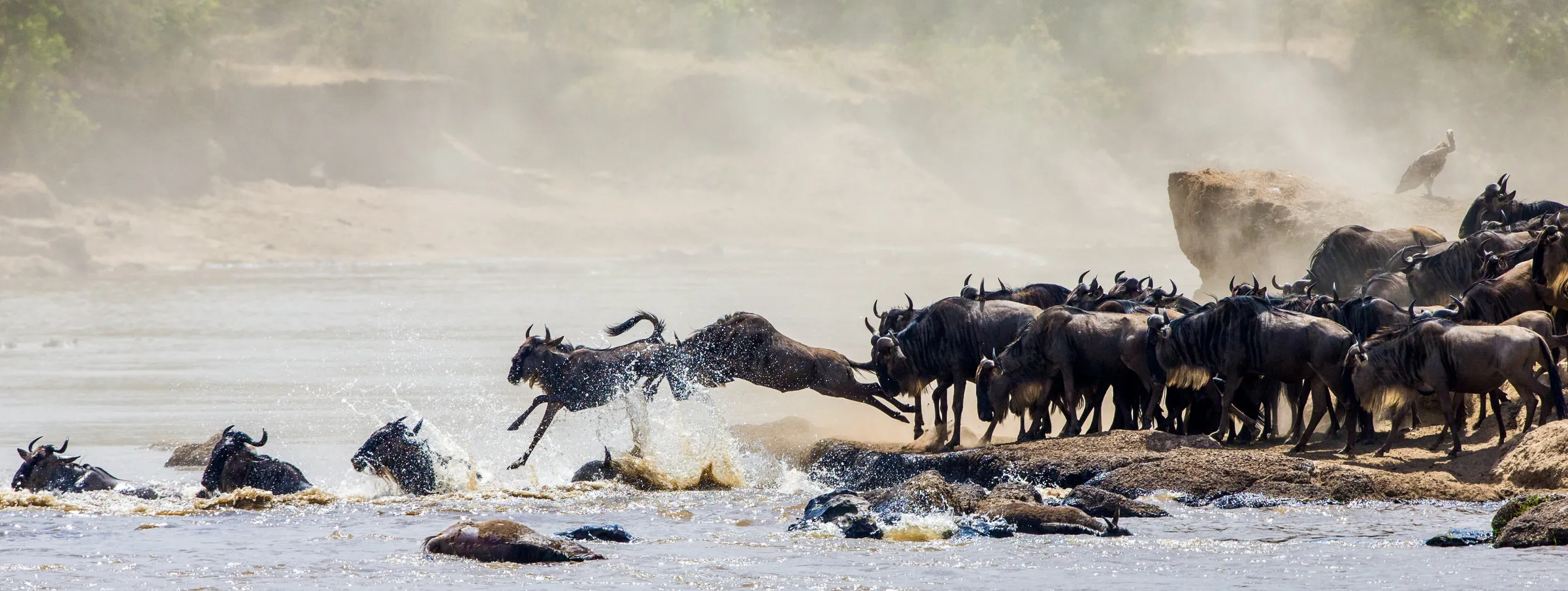 Hwange National Park