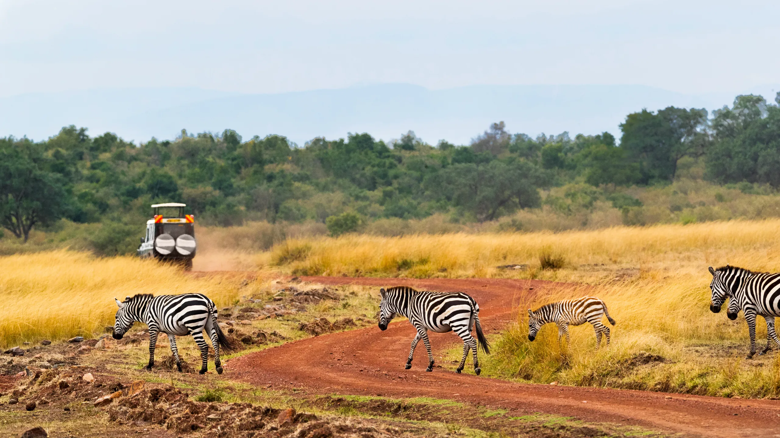 Kruger National Park