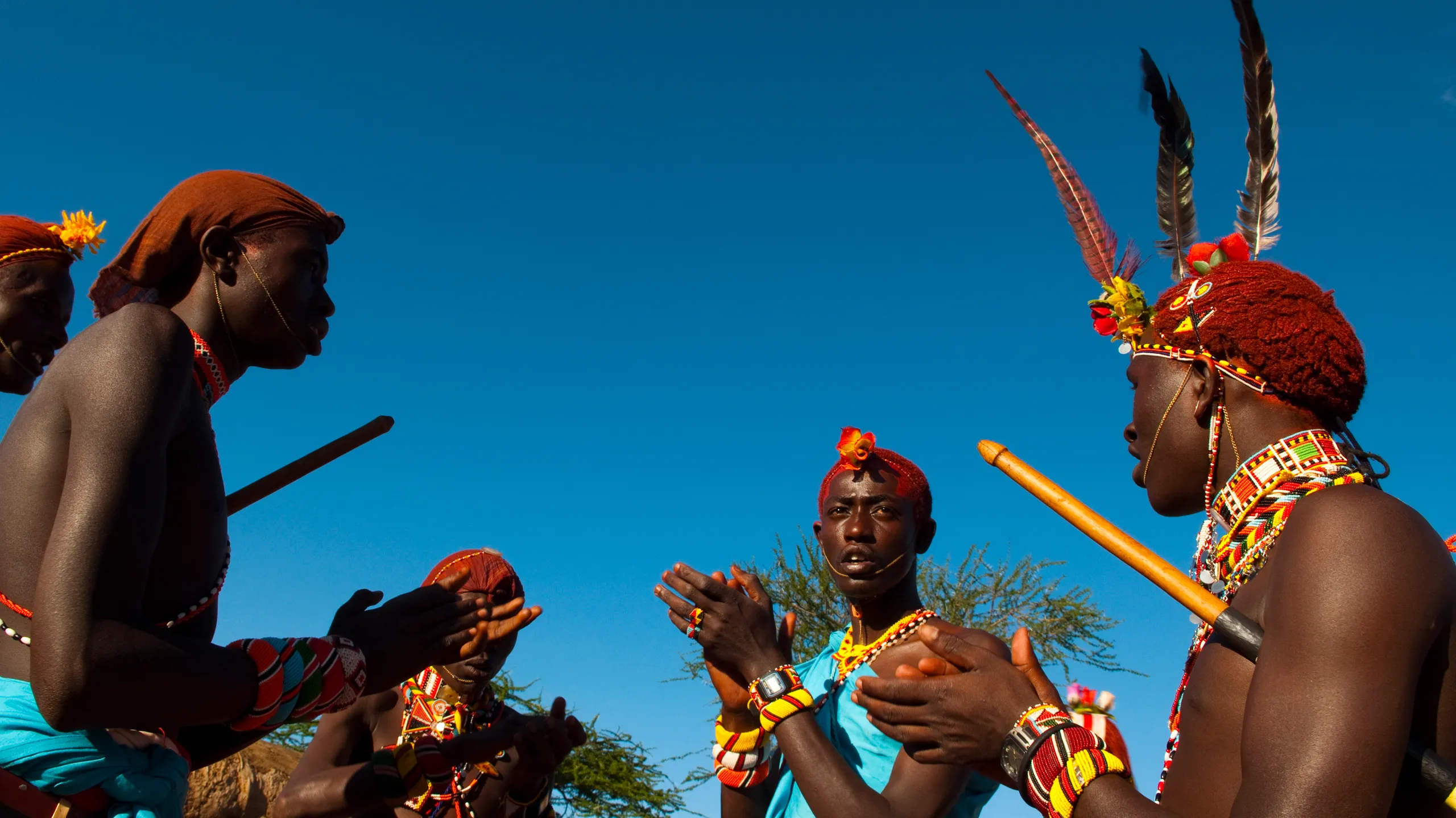 How Safari Tourism Funds Wildlife Conservation in Africa